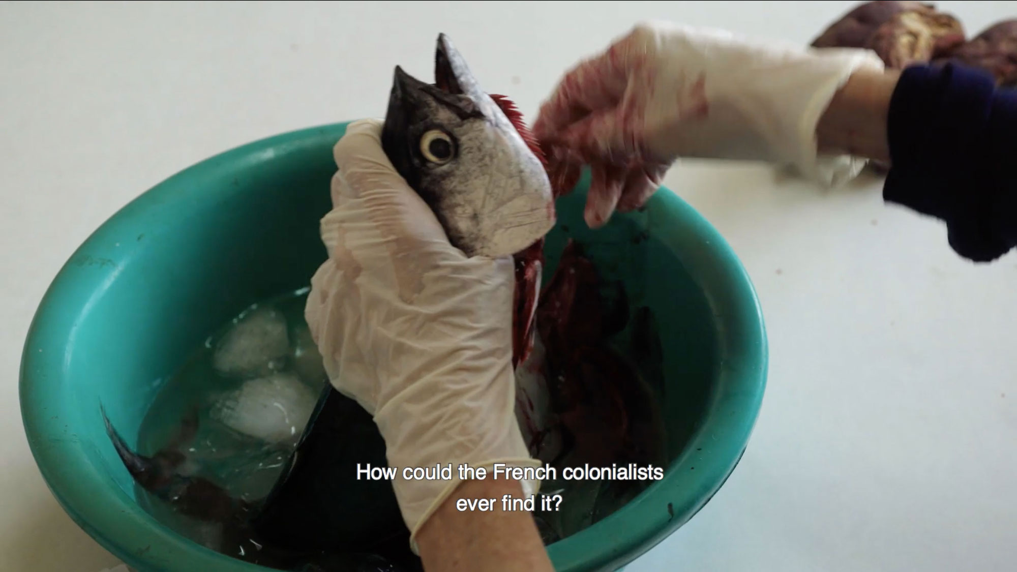 a mackerel being gutted over a teal bowl of ice.