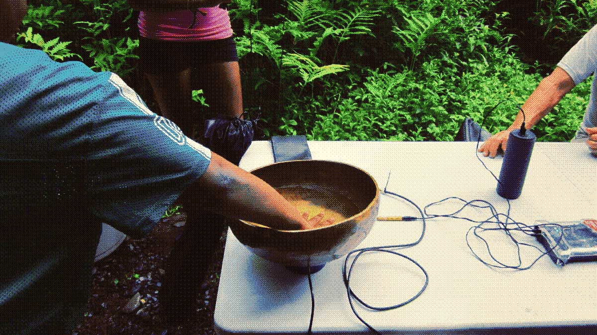 a person puts their hand in a bowl full of water on a table with microphones and wires