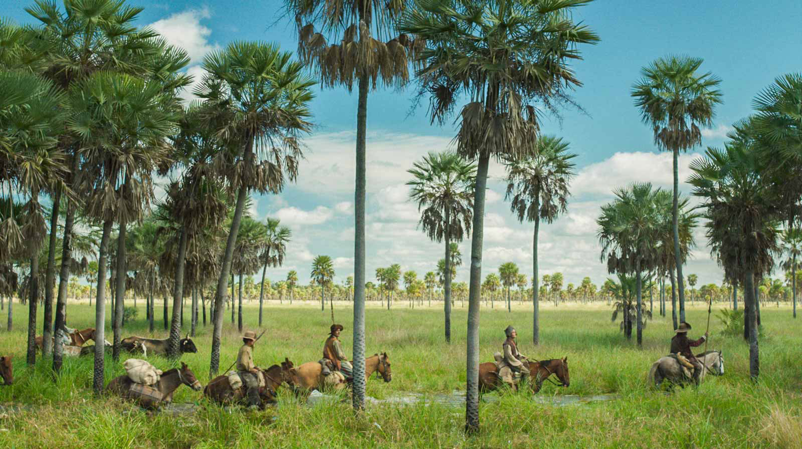 a scene of south american grasslands with four riders on horses among palm trees. 