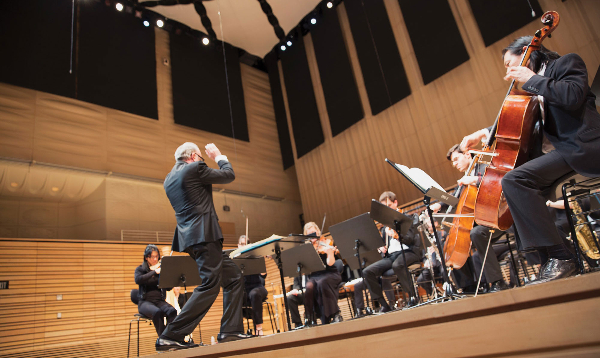 A mle conductor in a black suit directing an orchestra on the concert hall stage. 