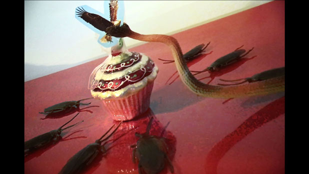 A rubber snake holding a cut out of a bald eagle attacking a cupcake surrounded by plastic cockroaches. 