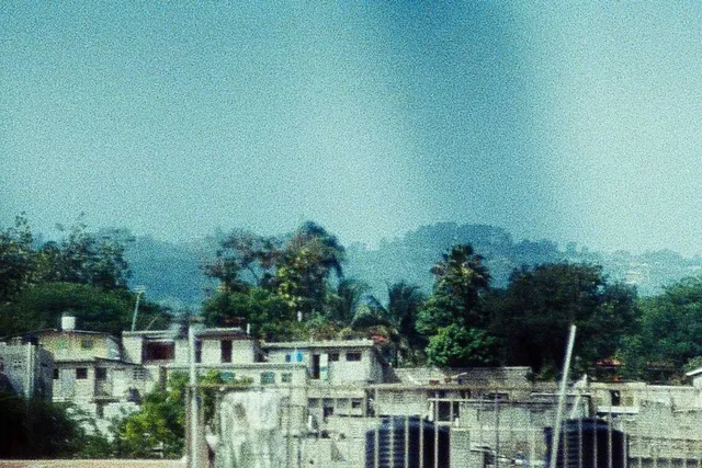 a noisy film image of a neighborhood bordering a jungle.