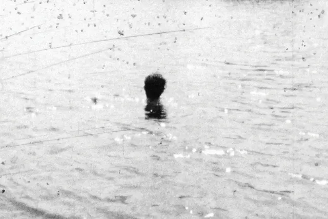 a single head bobbing in a lake