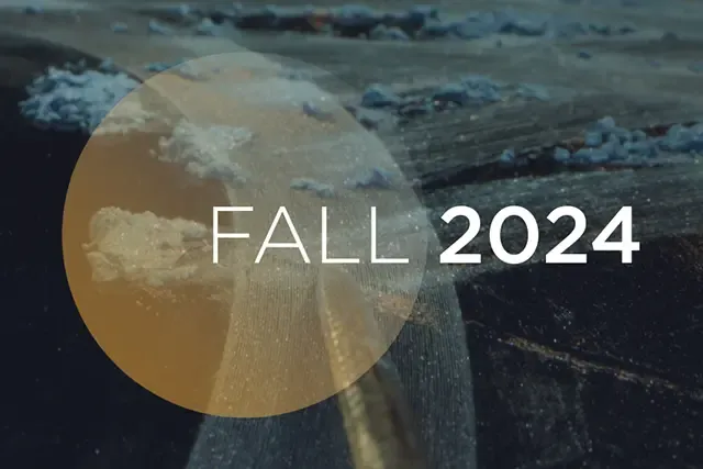 fall 2024