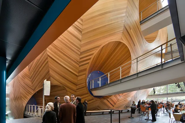 a cafe beneath the hull of a wood-clad egg-shaped concert hall bathed in natural light.