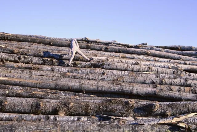 a person in a white jumpsuit walking across a massive pile of logs