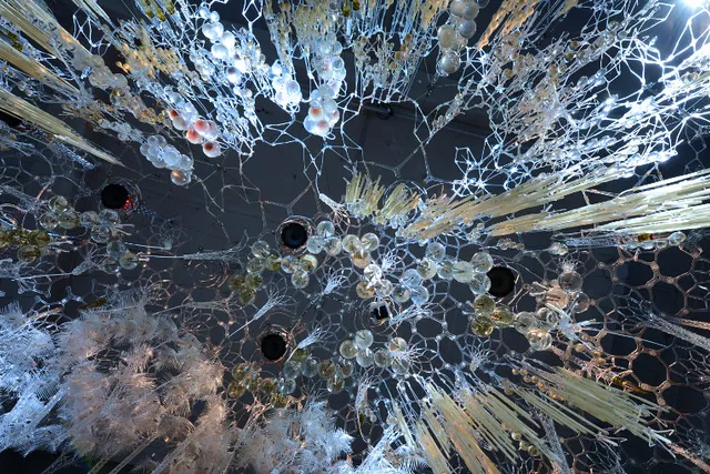 organic glass shapes 
