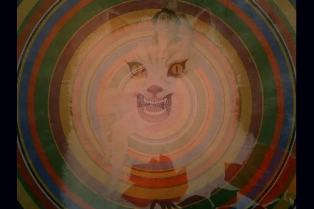 A rainbow bullseye with a cartoon cat and nude woman super imposed over top. 