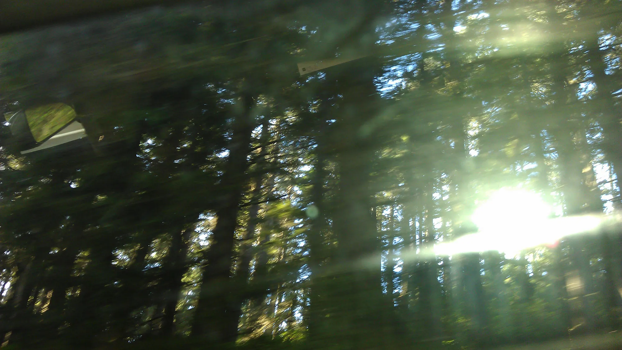 A blurred photo of sunlight coming through trees from a moving car.