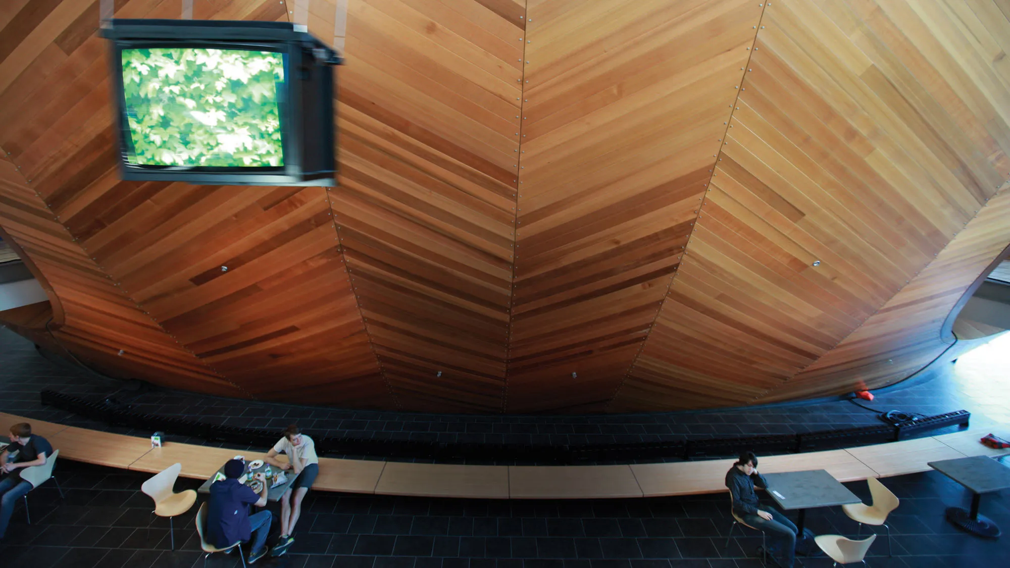 And older TV playing an image of greenery suspended from wires against the wooden hull of the Concert Hall. 