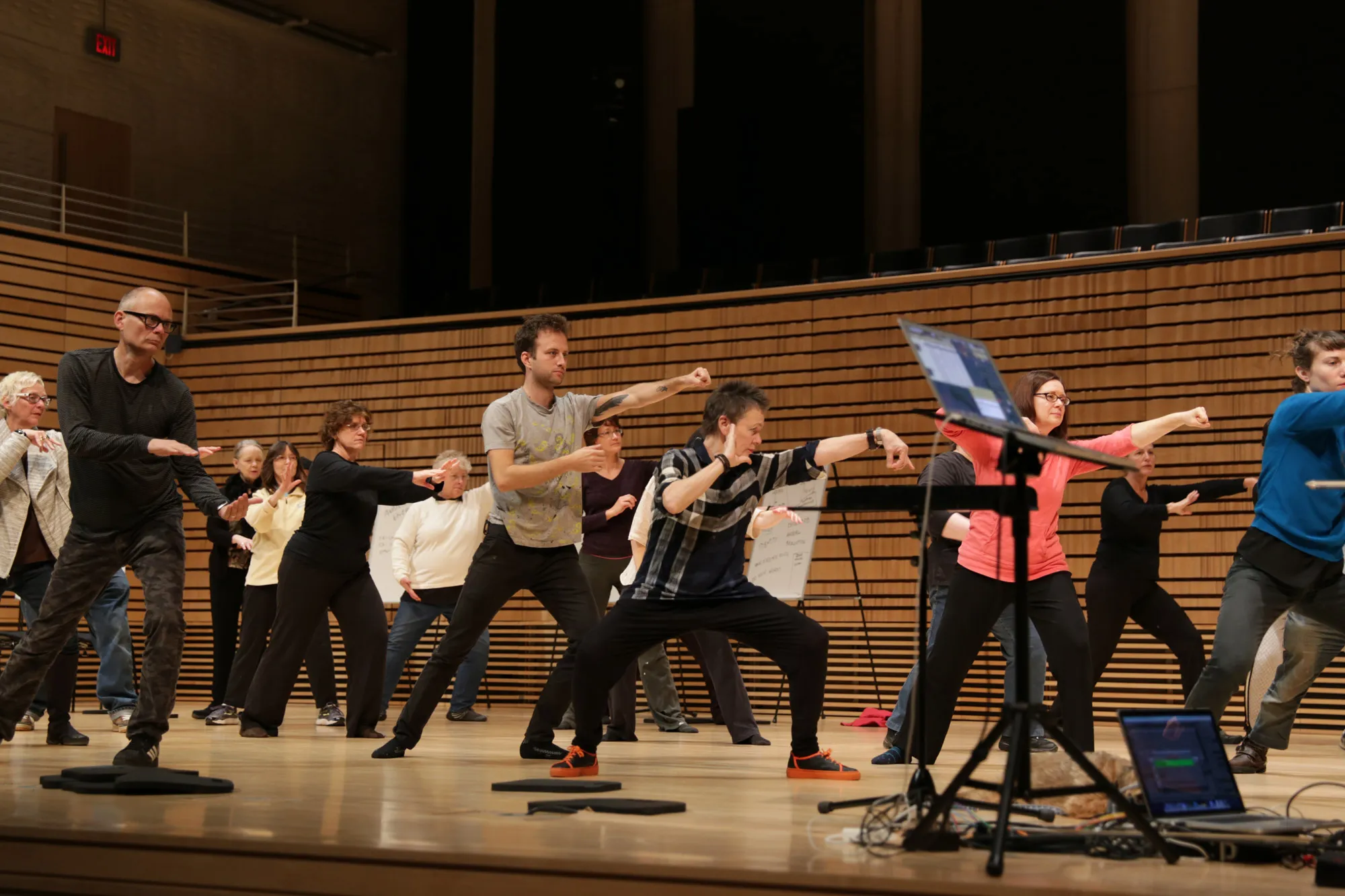 a group of adults practicing tai chi with laurie anderson on the concert hall stage. 